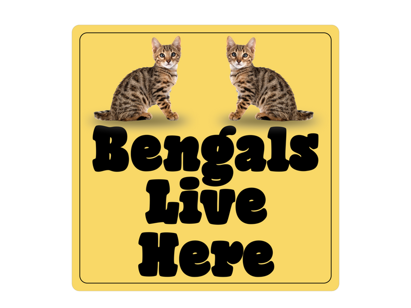 Bengals Live Here