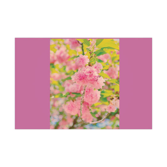 Seasons of June Gift Wrap Papers