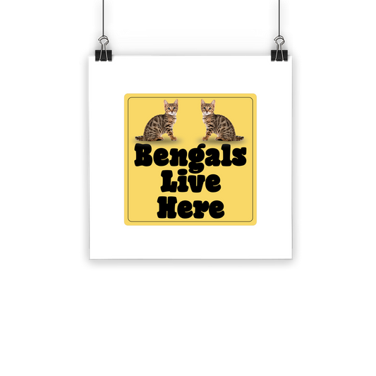 Bengals Classic Poster