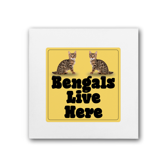 Bengals Premium Stretched Canvas