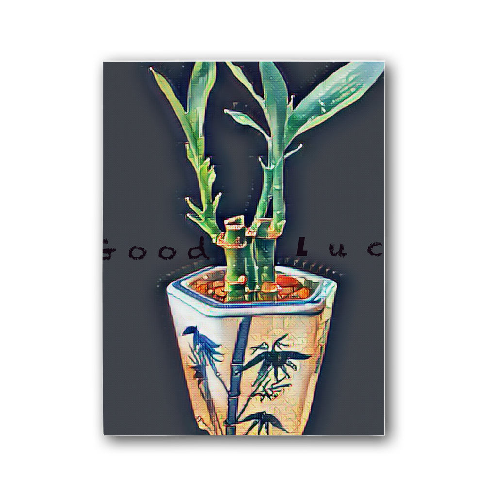 Good Luck Premium Stretched Canvas