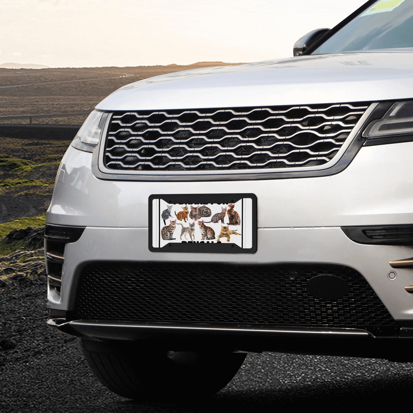 I Brake For Bengals Customized License Plates