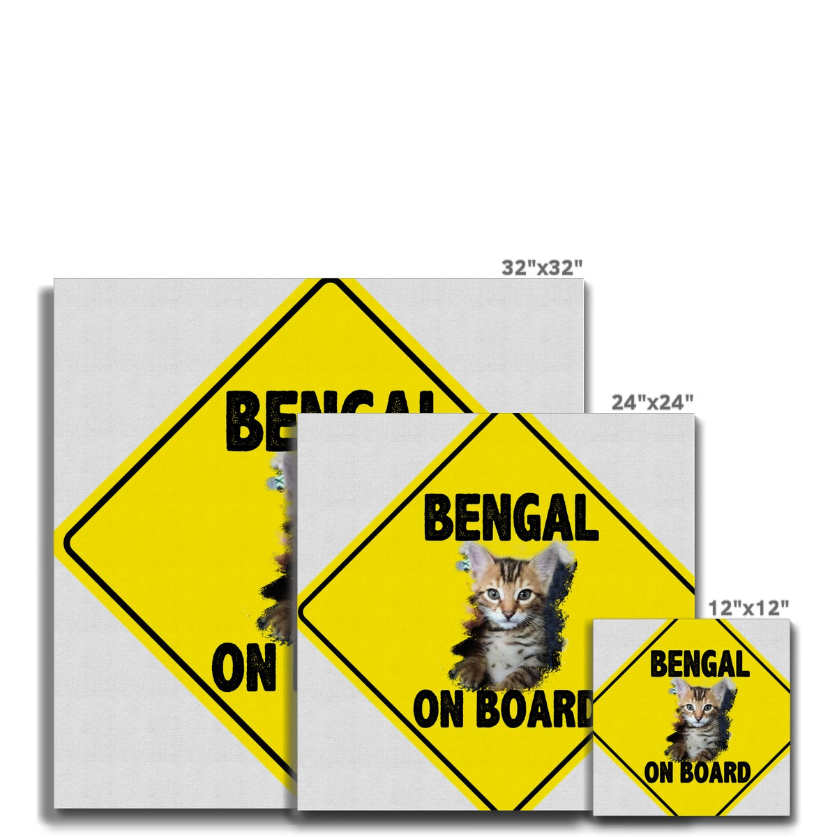 Bengal on Board  Canvas