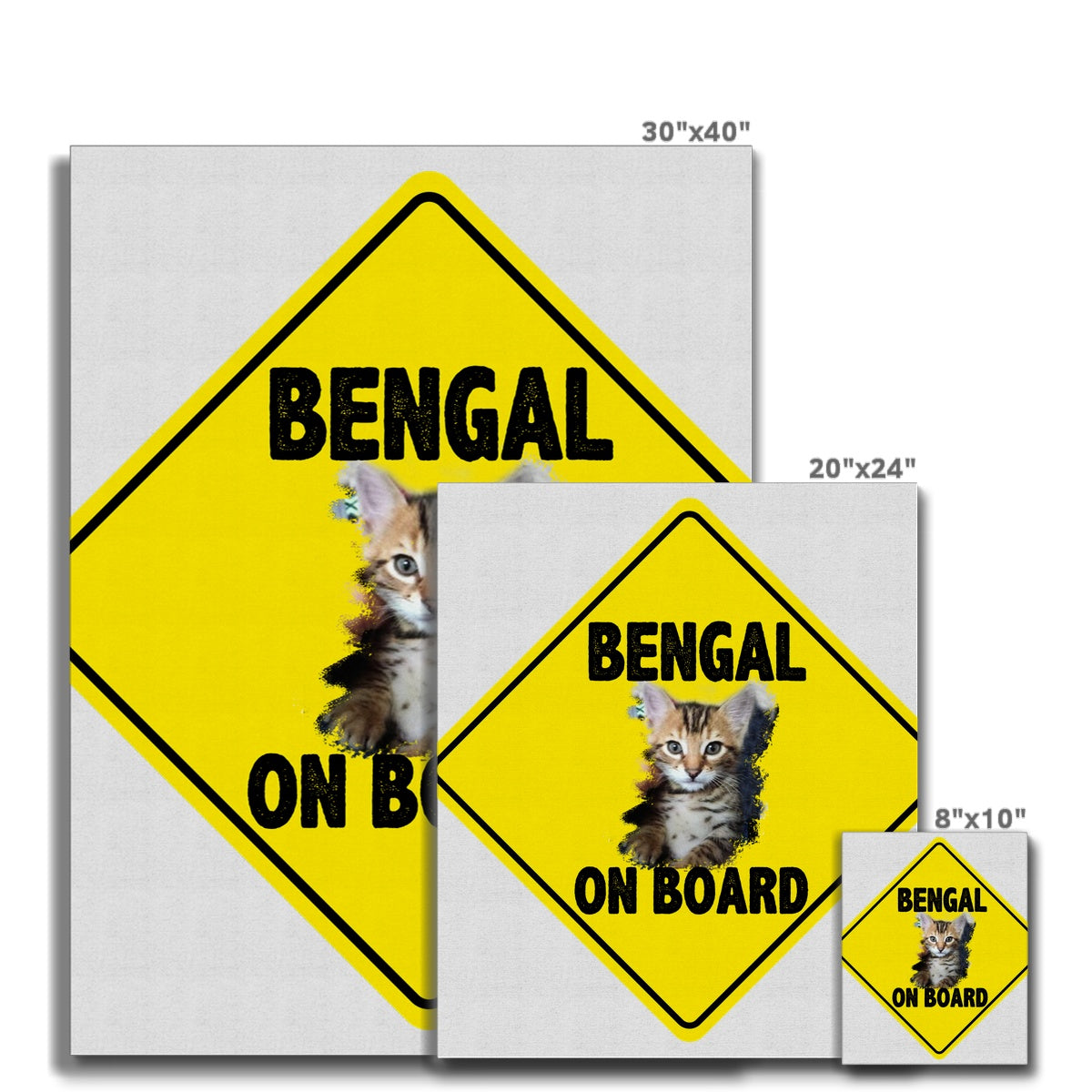 Bengal on Board  Canvas