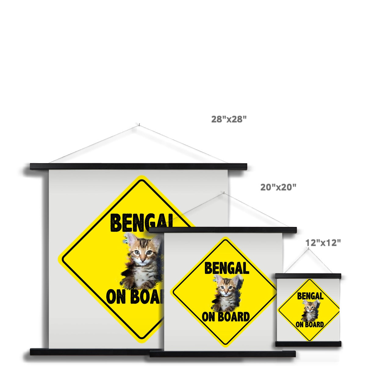 Bengal on Board  Fine Art Print with Hanger