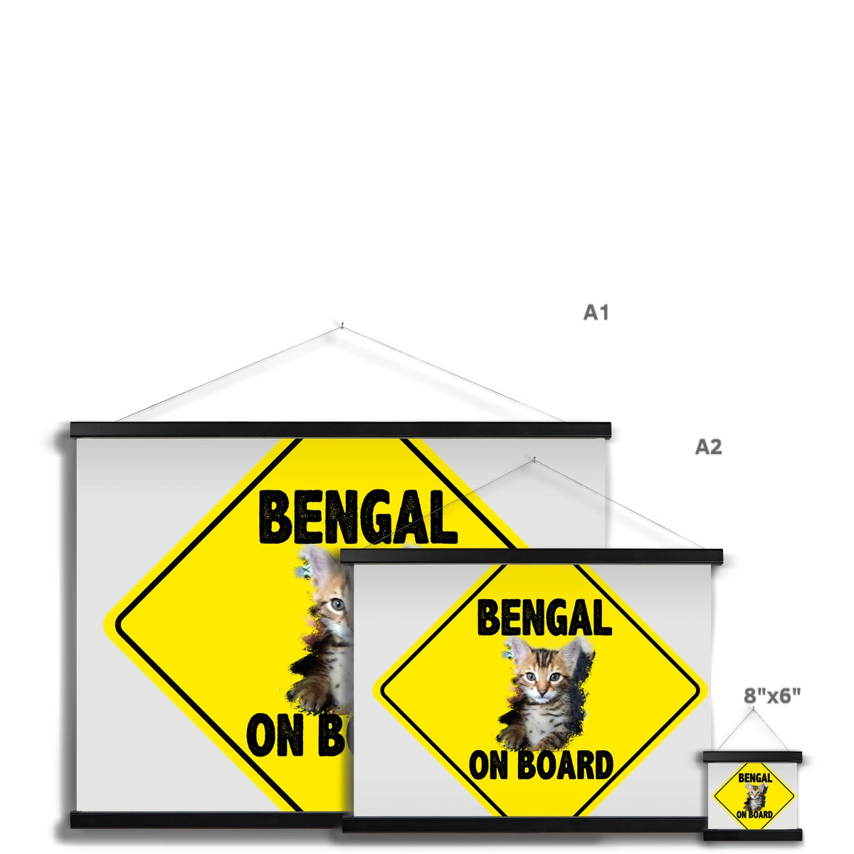 Bengal on Board  Fine Art Print with Hanger