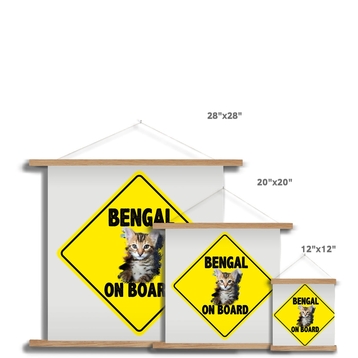 Bengal on Board  Fine Art Print with Hanger