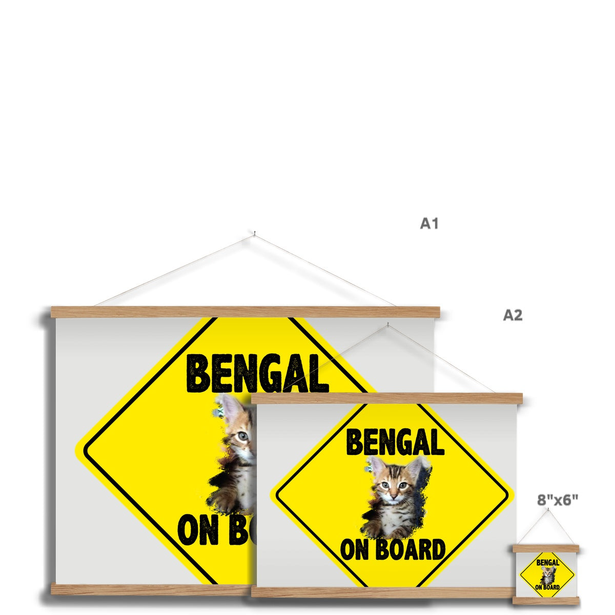 Bengal on Board  Fine Art Print with Hanger