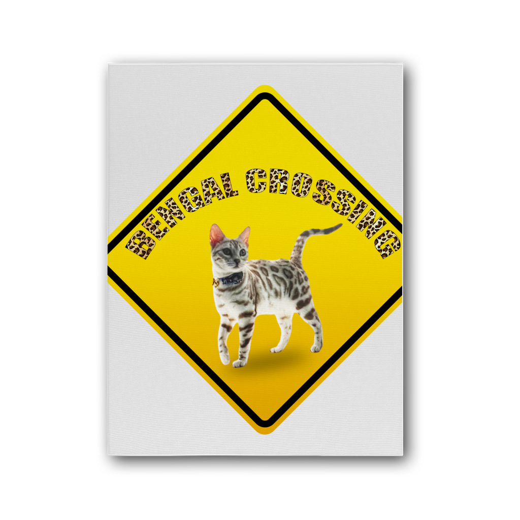 Bengals Premium Stretched Canvas