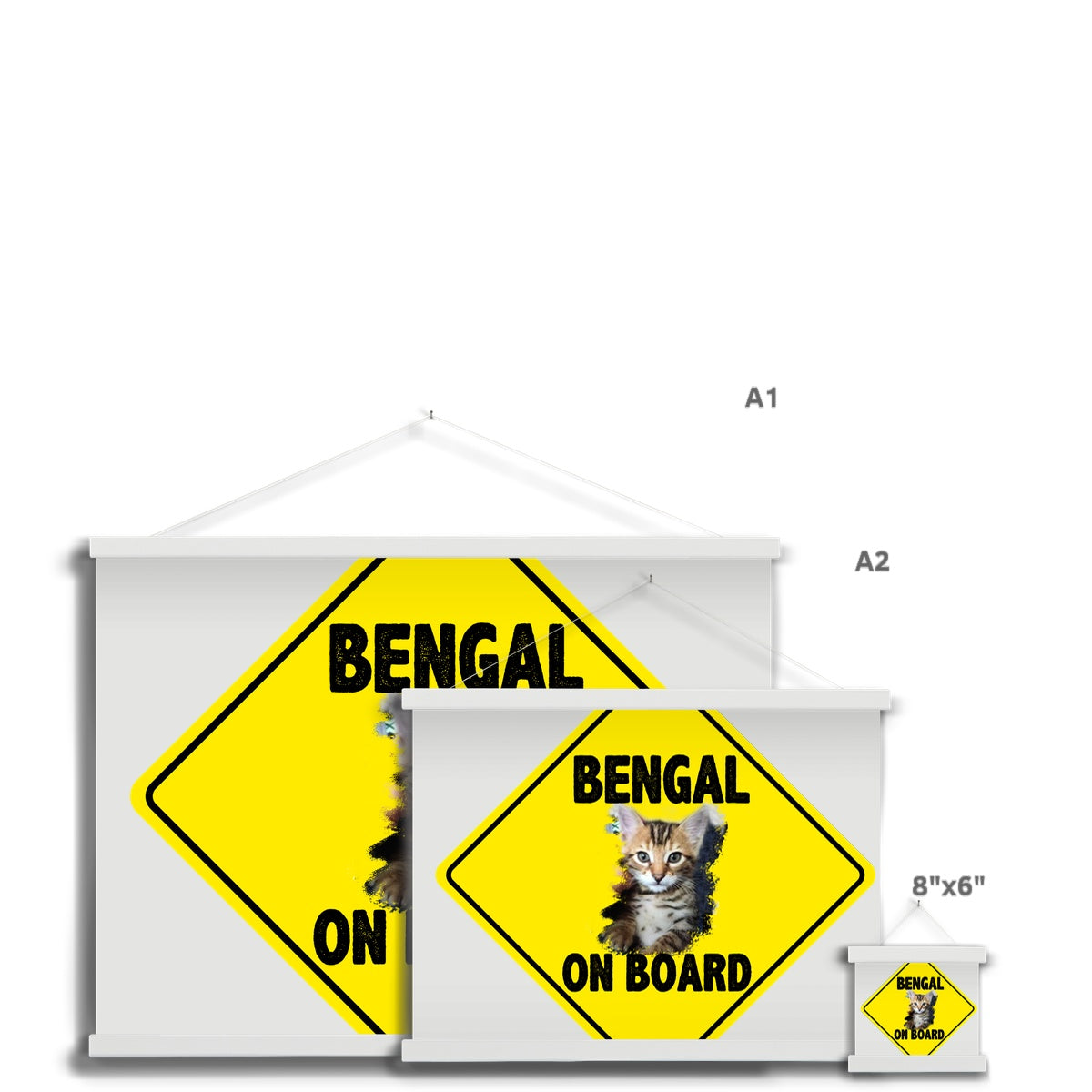 Bengal on Board  Fine Art Print with Hanger