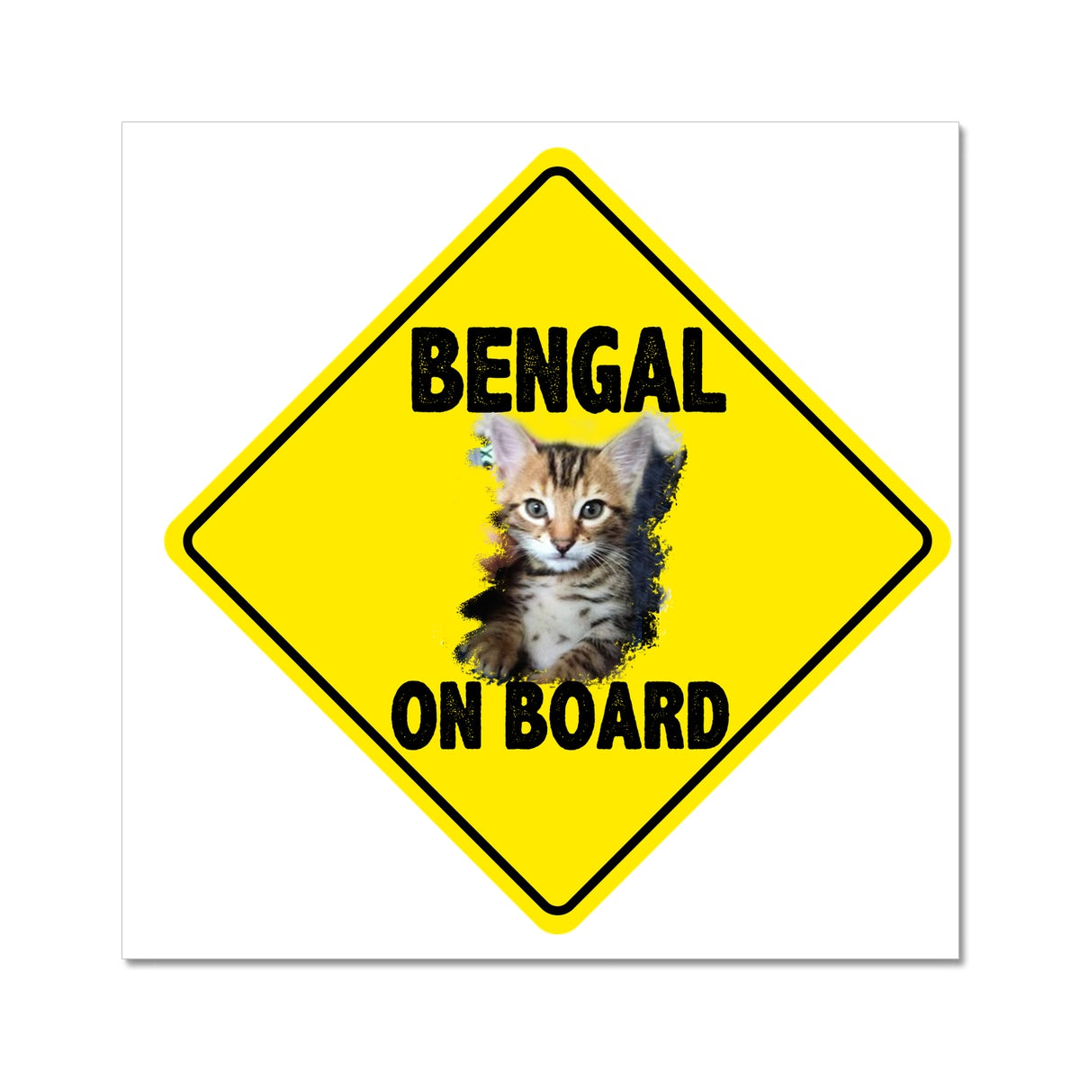 Bengal on Board  C-Type Print