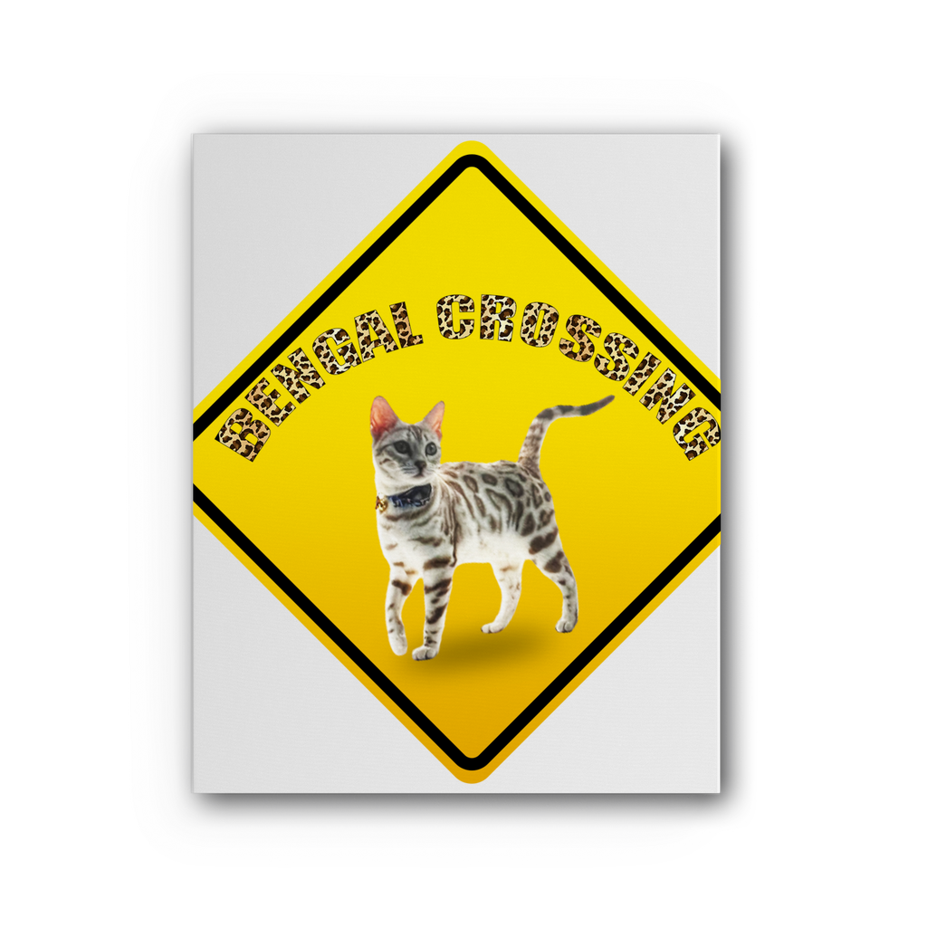 Bengals Premium Stretched Canvas