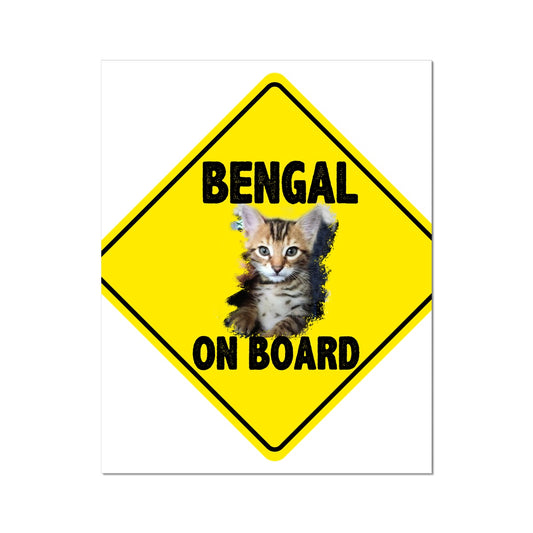 Bengal on Board  C-Type Print