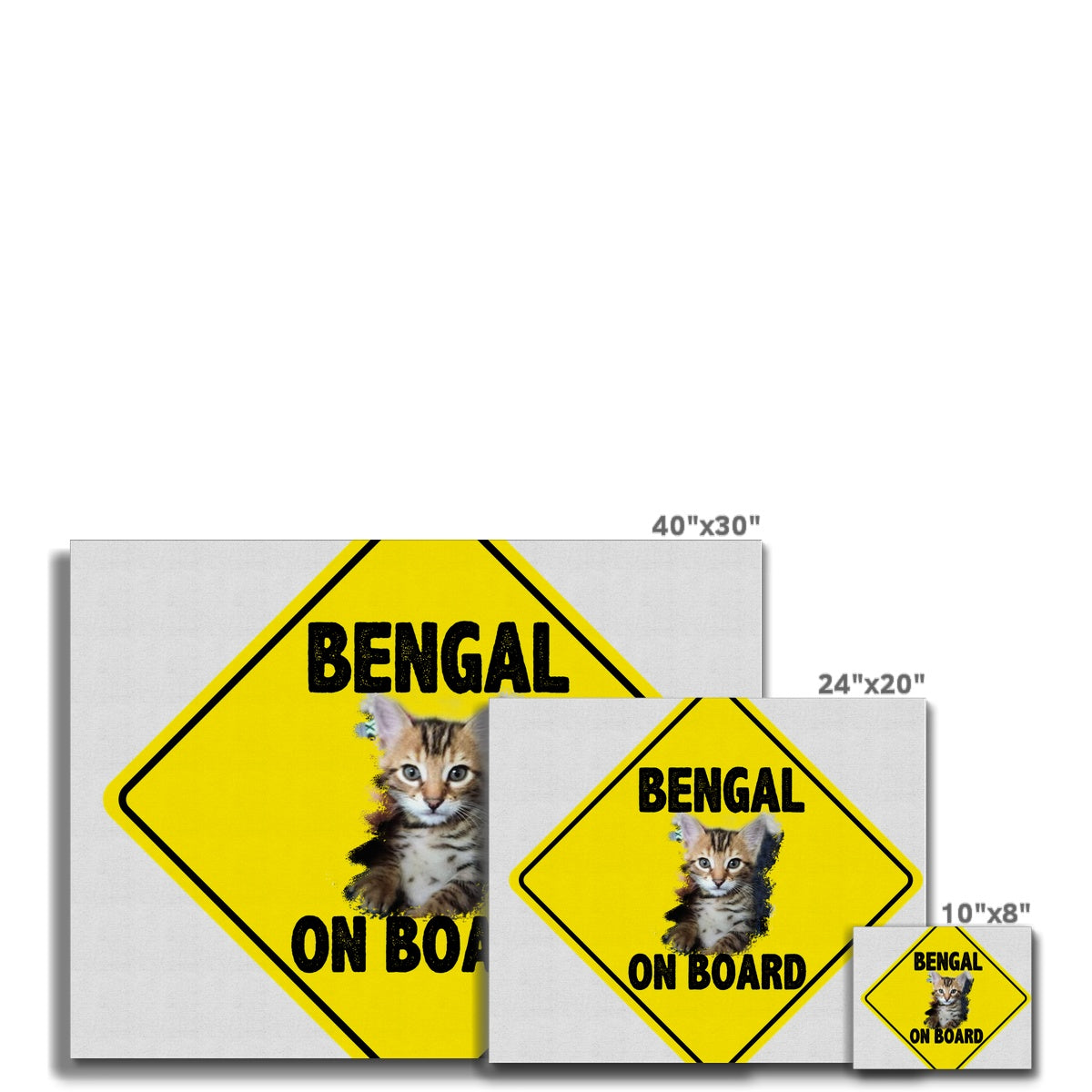 Bengal on Board  Canvas