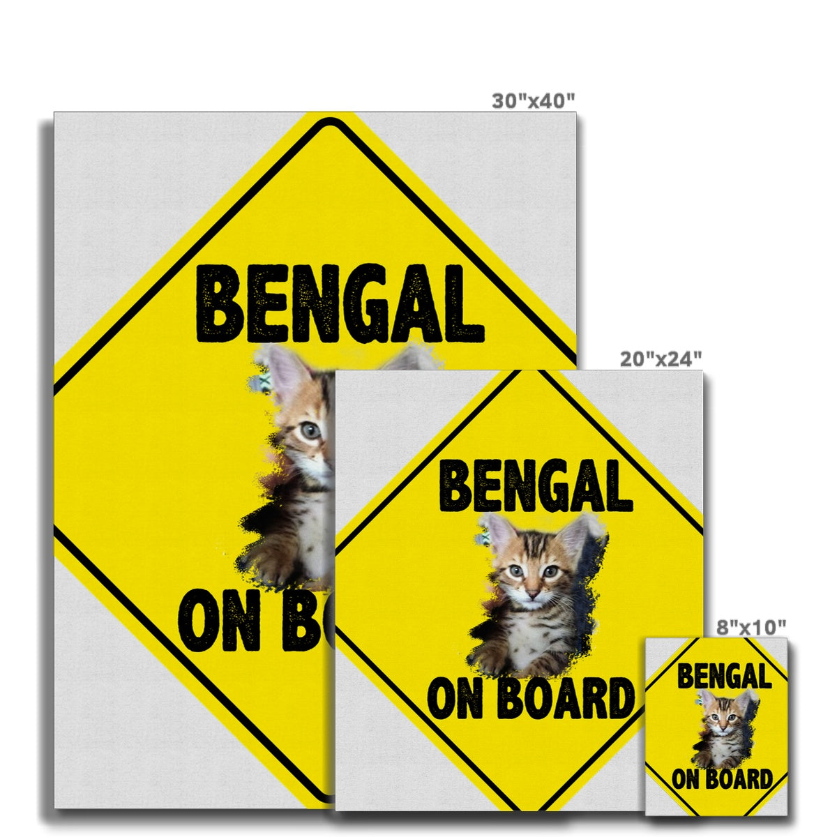 Bengal on Board  Canvas