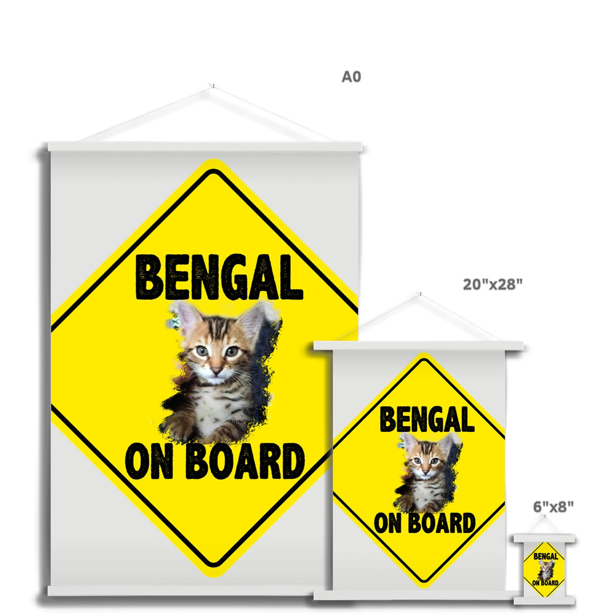 Bengal on Board  Fine Art Print with Hanger