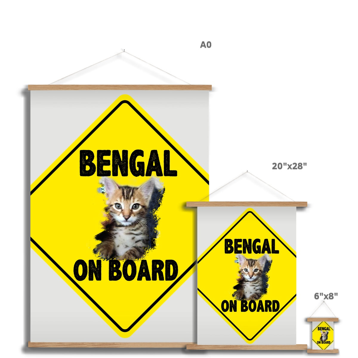 Bengal on Board  Fine Art Print with Hanger