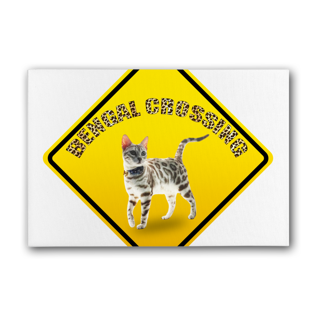 Bengals Premium Stretched Canvas