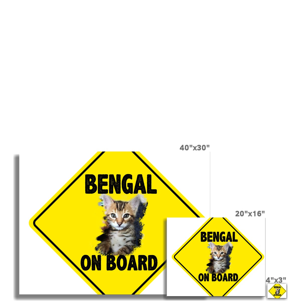 Bengal on Board  C-Type Print