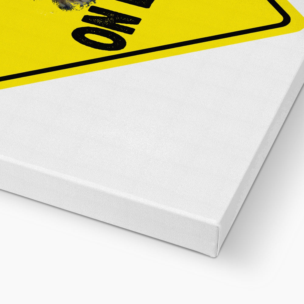 Bengal on Board  Canvas