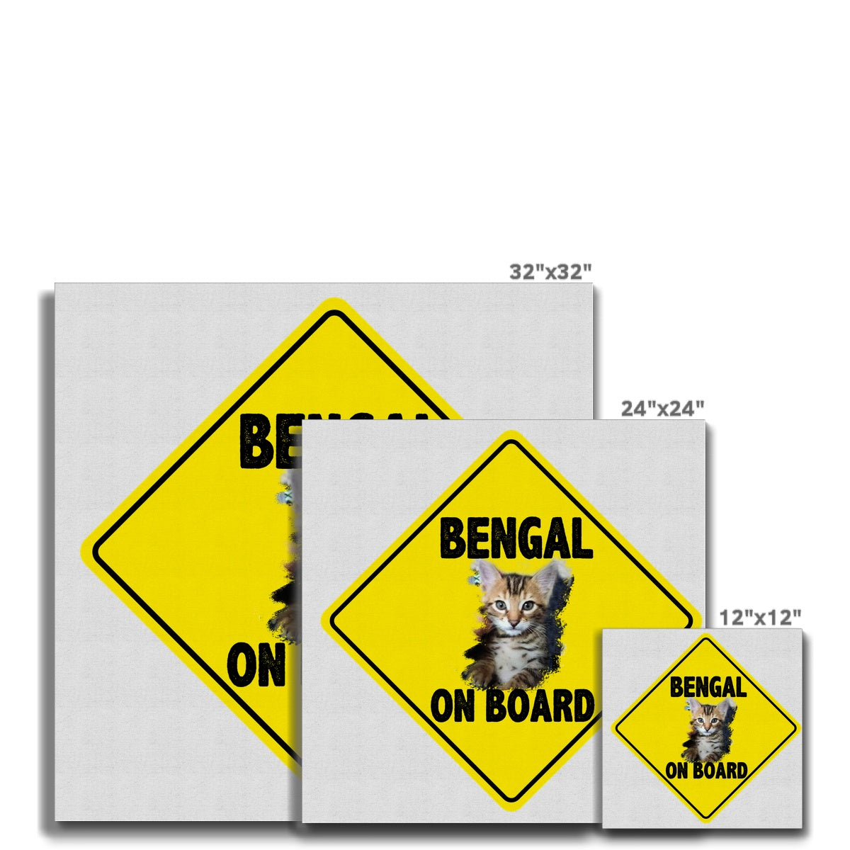 Bengal on Board  Canvas