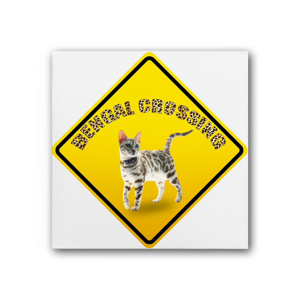 Bengals Premium Stretched Canvas