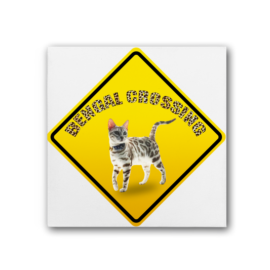 Bengals Premium Stretched Canvas