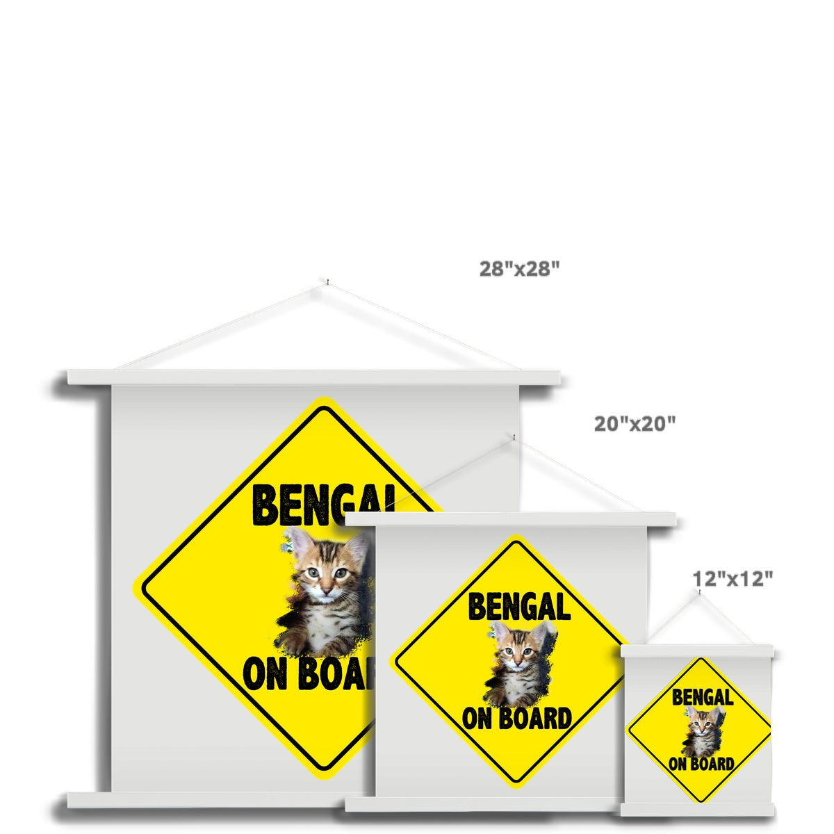 Bengal on Board  Fine Art Print with Hanger