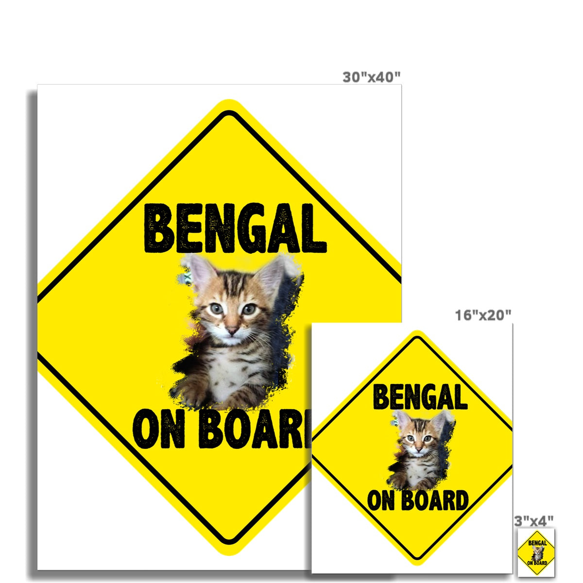 Bengal on Board  C-Type Print