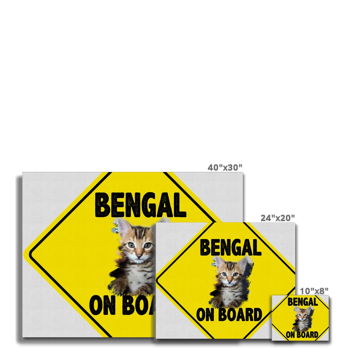 Bengal on Board  Canvas