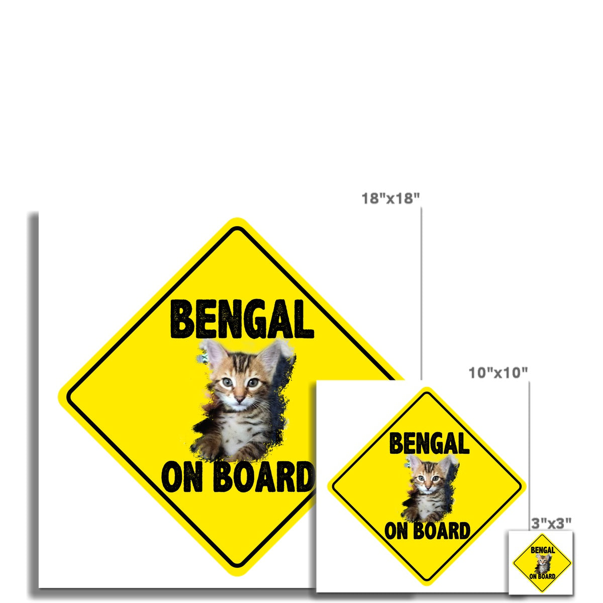 Bengal on Board  C-Type Print