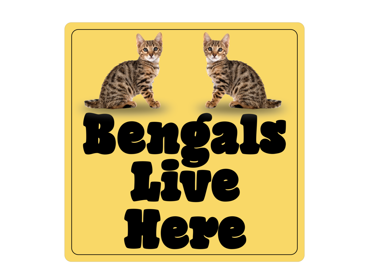 Bengals Live Here