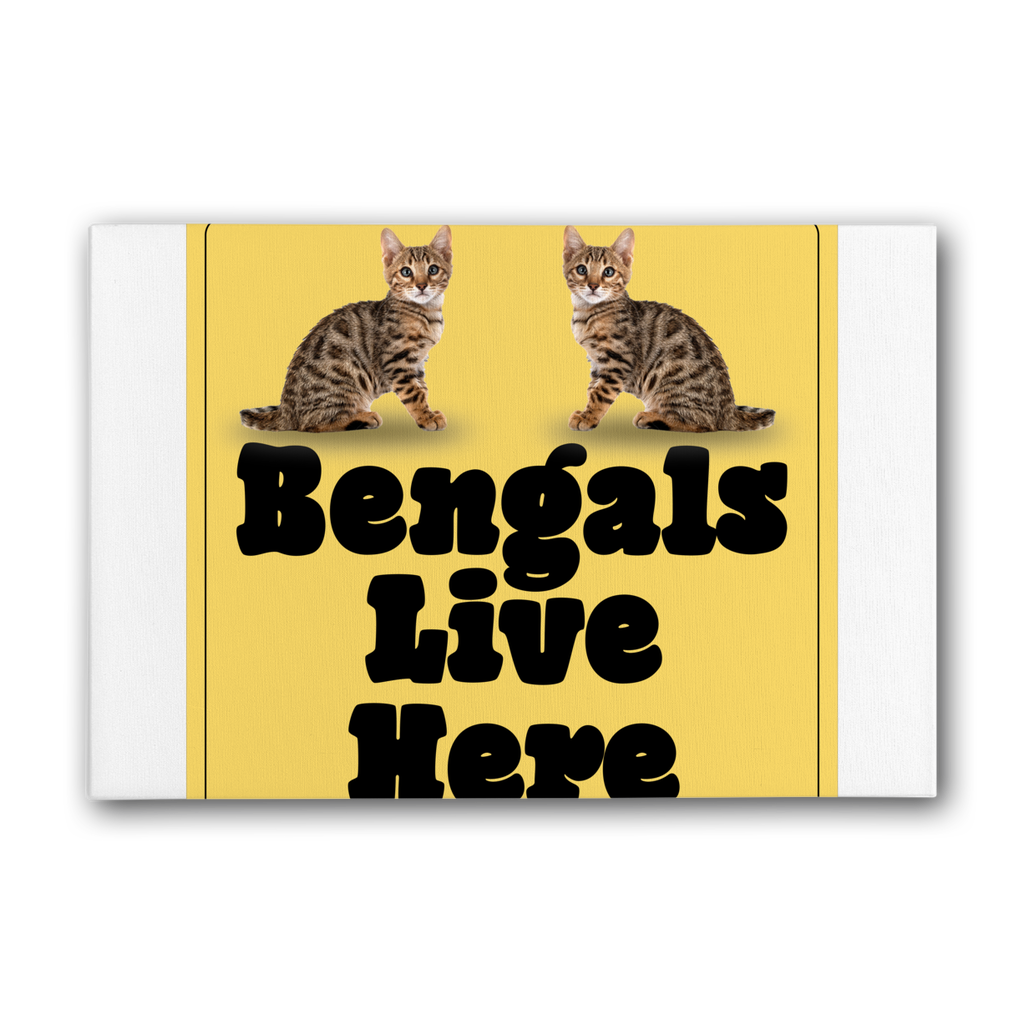 Bengals Premium Stretched Canvas