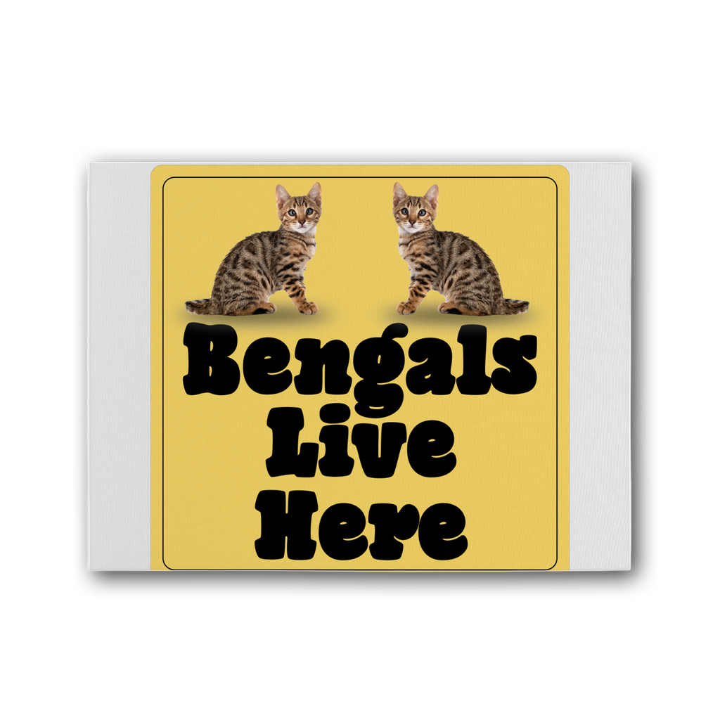 Bengals Premium Stretched Canvas