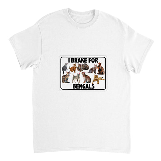 Heavyweight Unisex Crewneck T-shirt