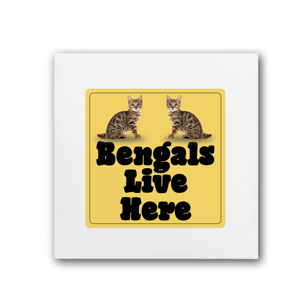 Bengals Premium Stretched Canvas