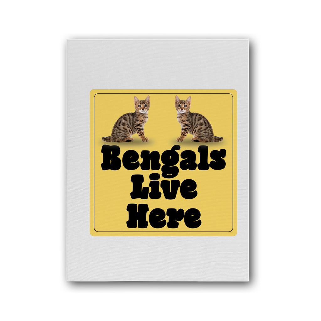 Bengals Premium Stretched Canvas