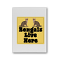 Bengals Premium Stretched Canvas