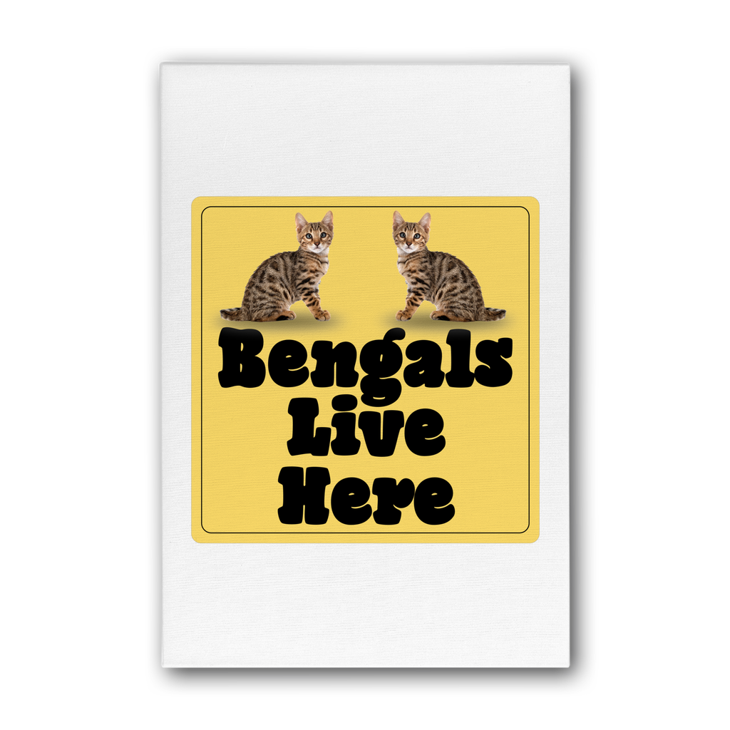 Bengals Premium Stretched Canvas