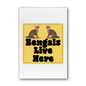 Bengals Premium Stretched Canvas