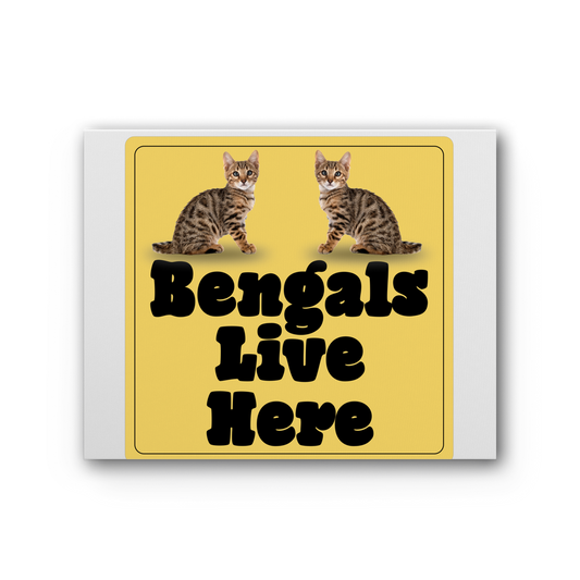 Bengals Premium Stretched Canvas