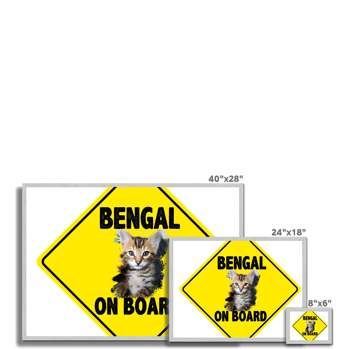 Bengal on Board  Antique Framed Print