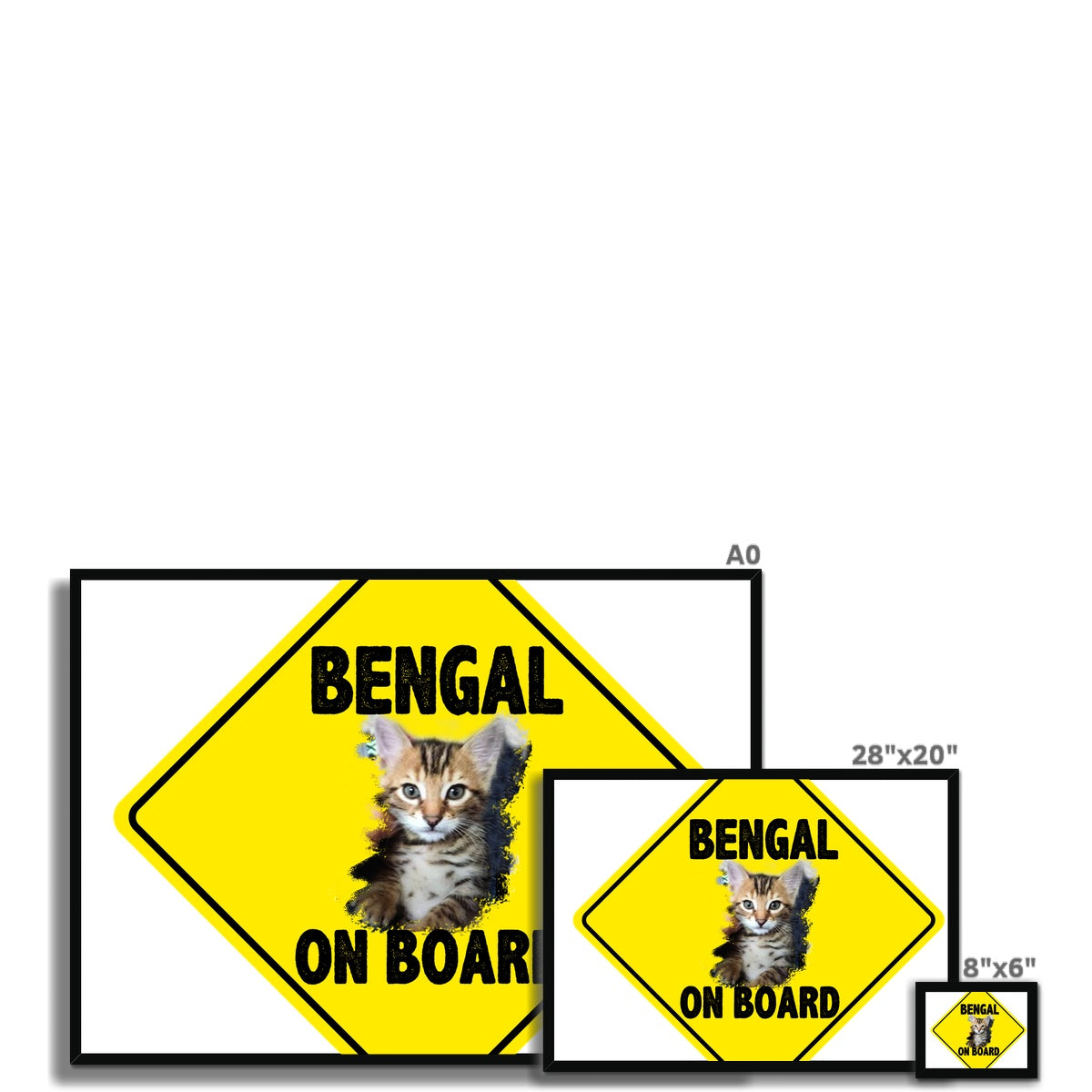 Bengal on Board  Framed Print