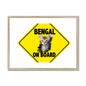 Bengal on Board  Framed & Mounted Print