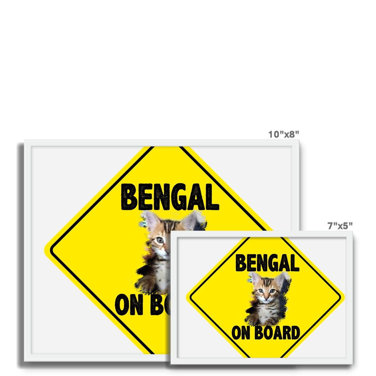 Bengal on Board  Framed Photo Tile