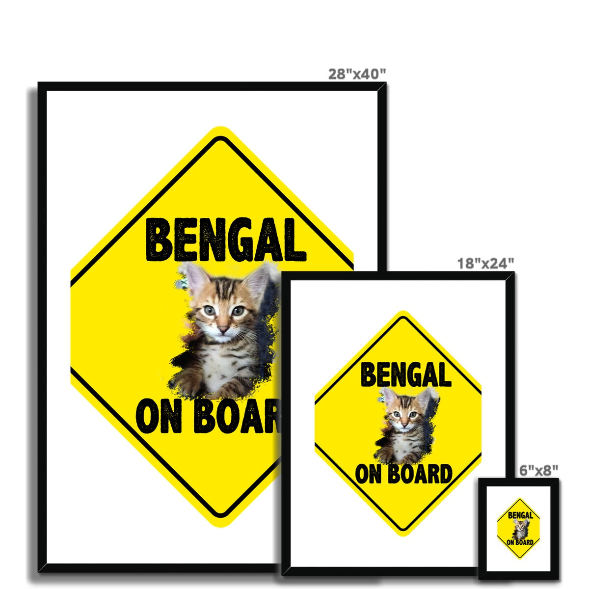 Bengal on Board  Framed & Mounted Print