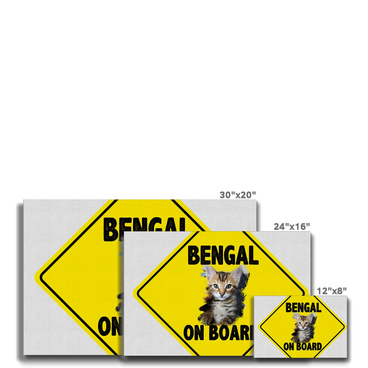 Bengal on Board  Eco Canvas