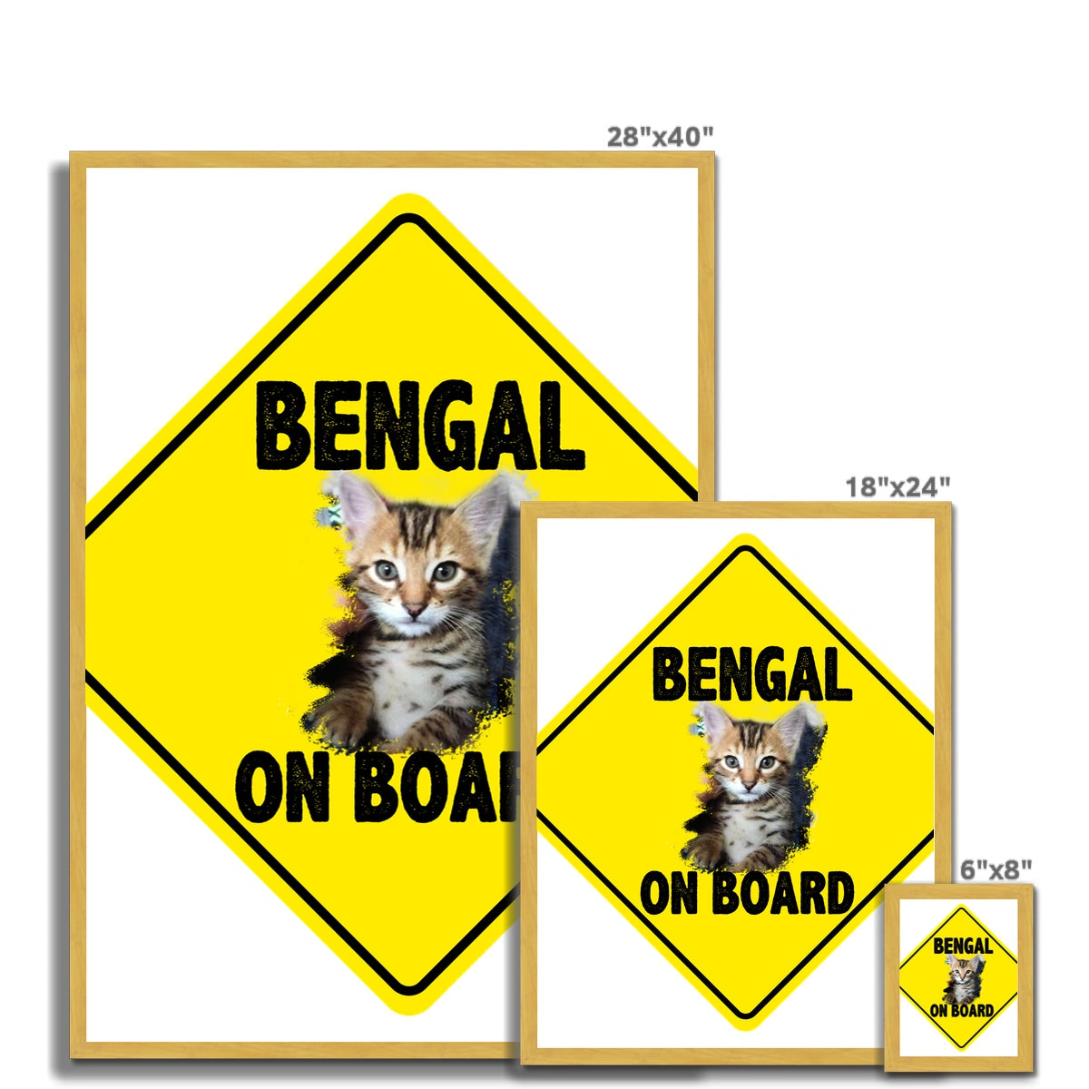 Bengal on Board  Antique Framed Print