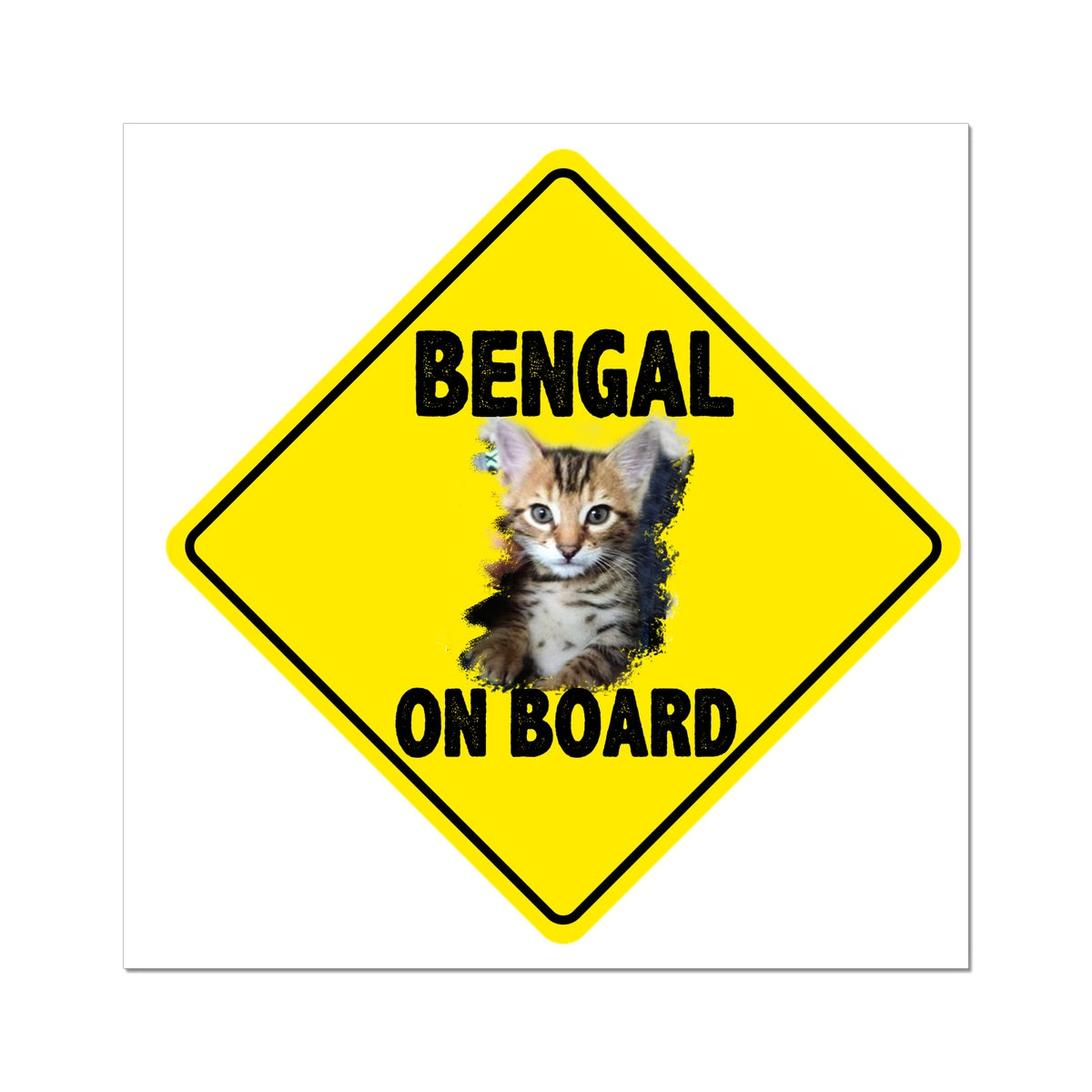 Bengal on Board  Wall Art Poster