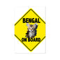 Bengal on Board  Fine Art Print